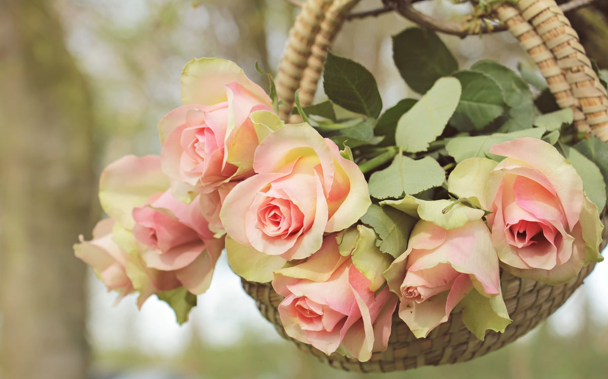 A Basket of Flowers